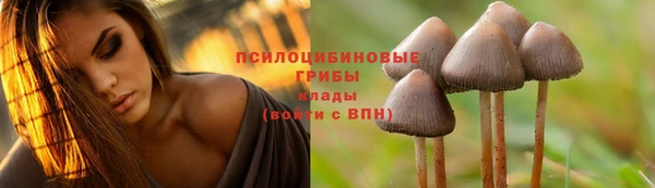 МДПВ Балабаново