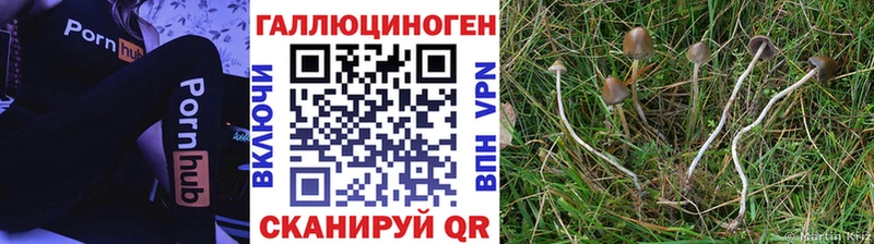 Галлюциногенные грибы MAGIC MUSHROOMS  Бугульма 